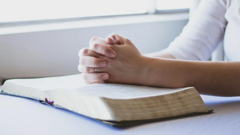 6 Must-Read Book Recommendations for Polish Language Enthusiasts