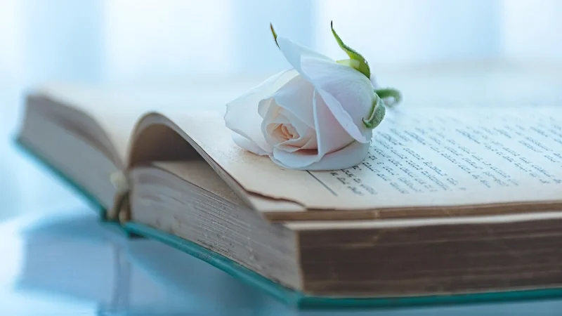 Analiza motywów miłości w literaturze romantycznej