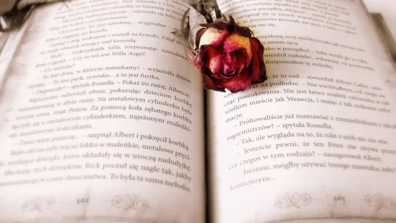 Magia słowa – podróż przez klasykę literatury