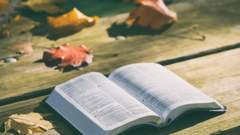 Motywy literackie w polskiej prozie współczesnej