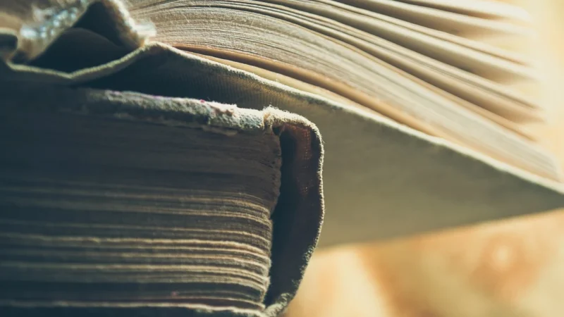 Rola języków w kształtowaniu tożsamości kulturowej