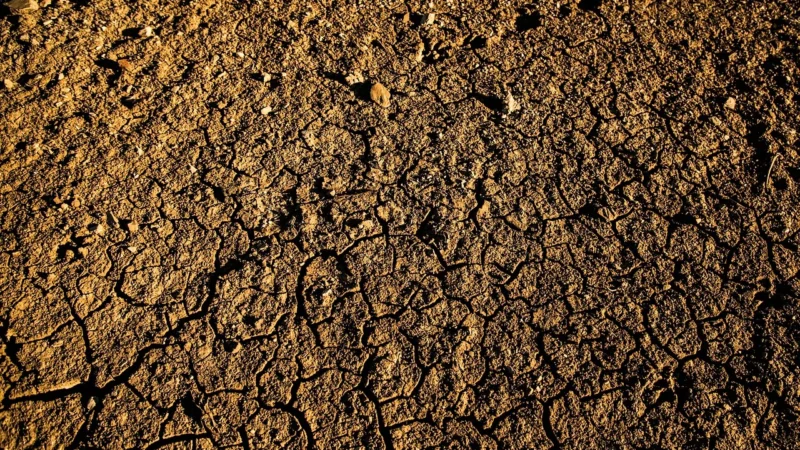 Wpływ zmian klimatycznych na rolnictwo w Europie Środkowej